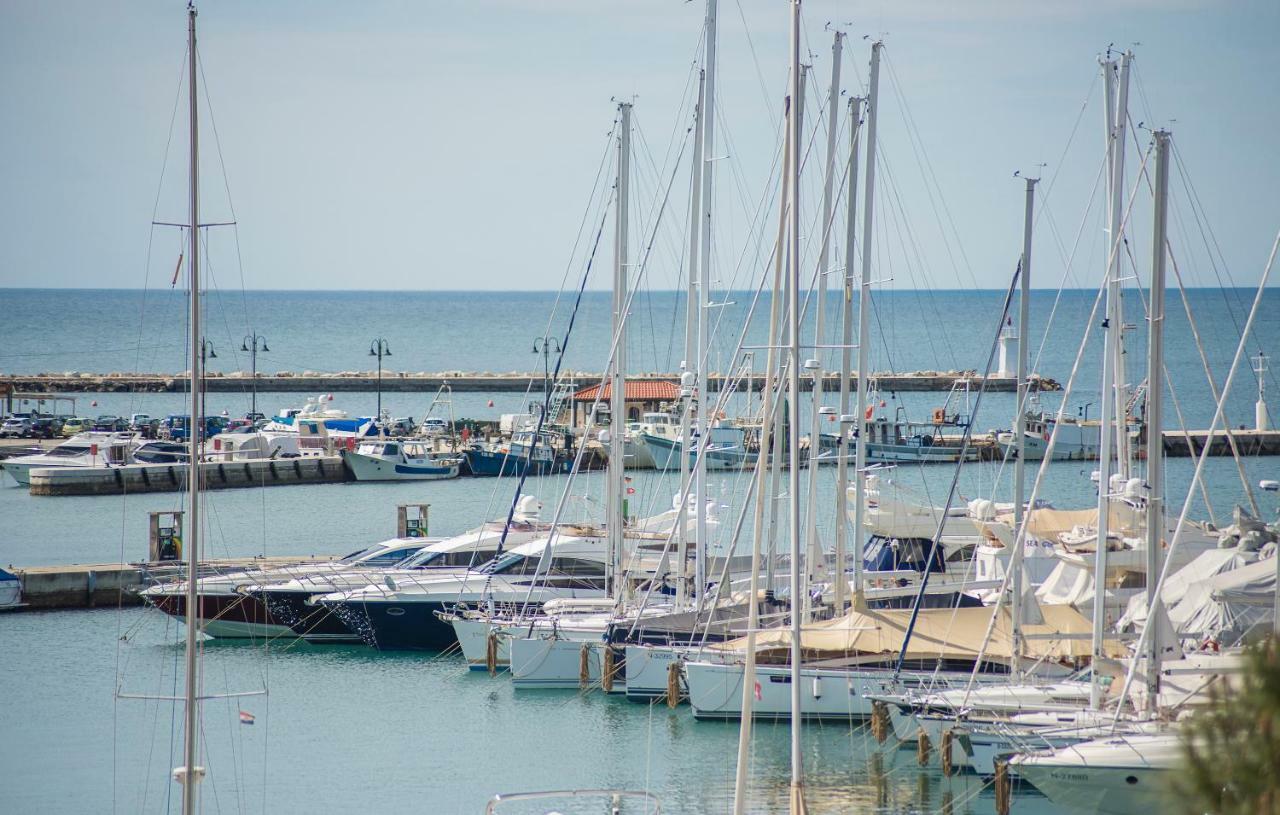 Luxury Apartments Novigrad Novigrad  Exterior photo